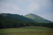 Clicca qui per vedere l'immagine in dettaglio